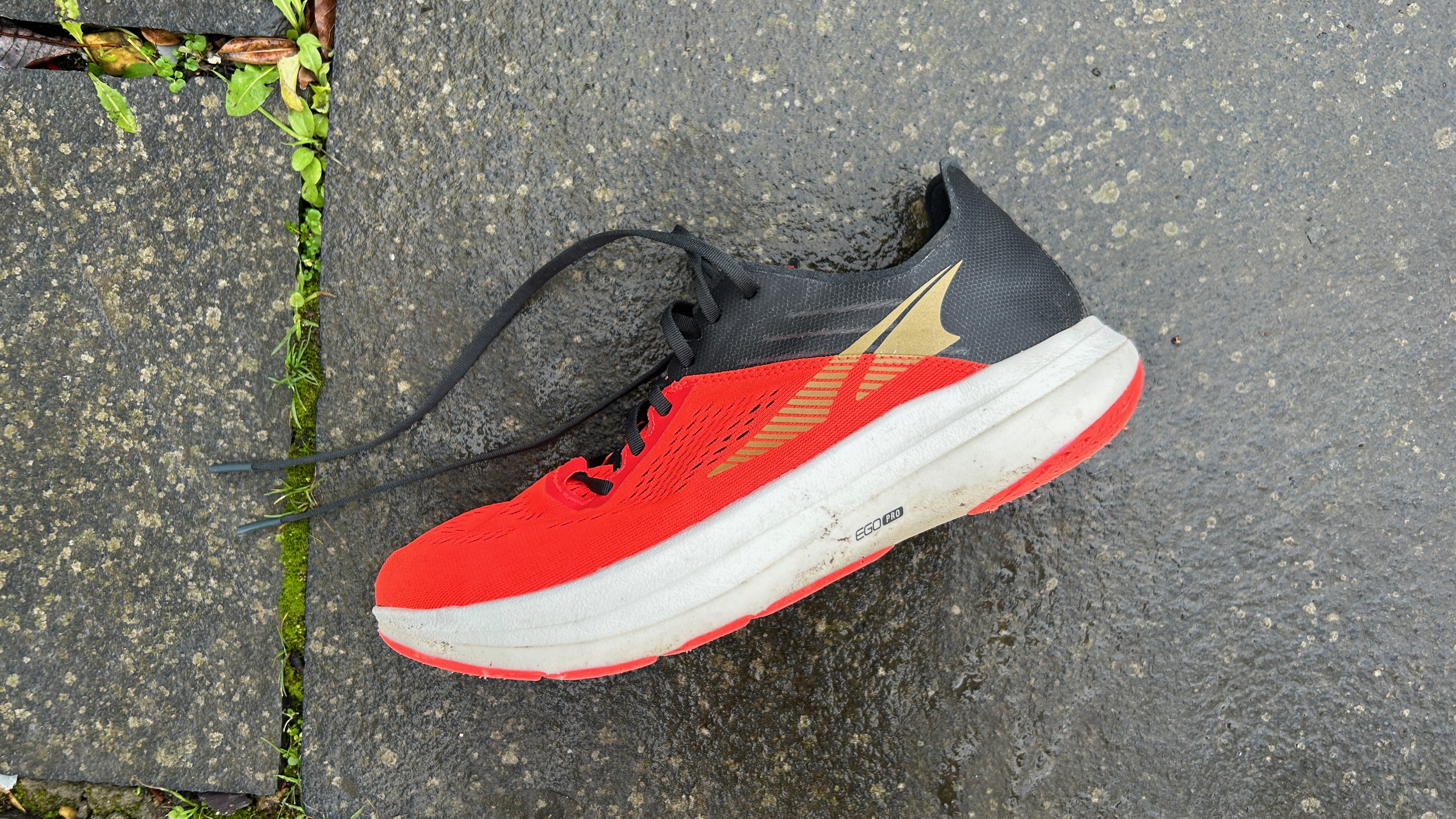 Altra Vanish Carbon running shoe